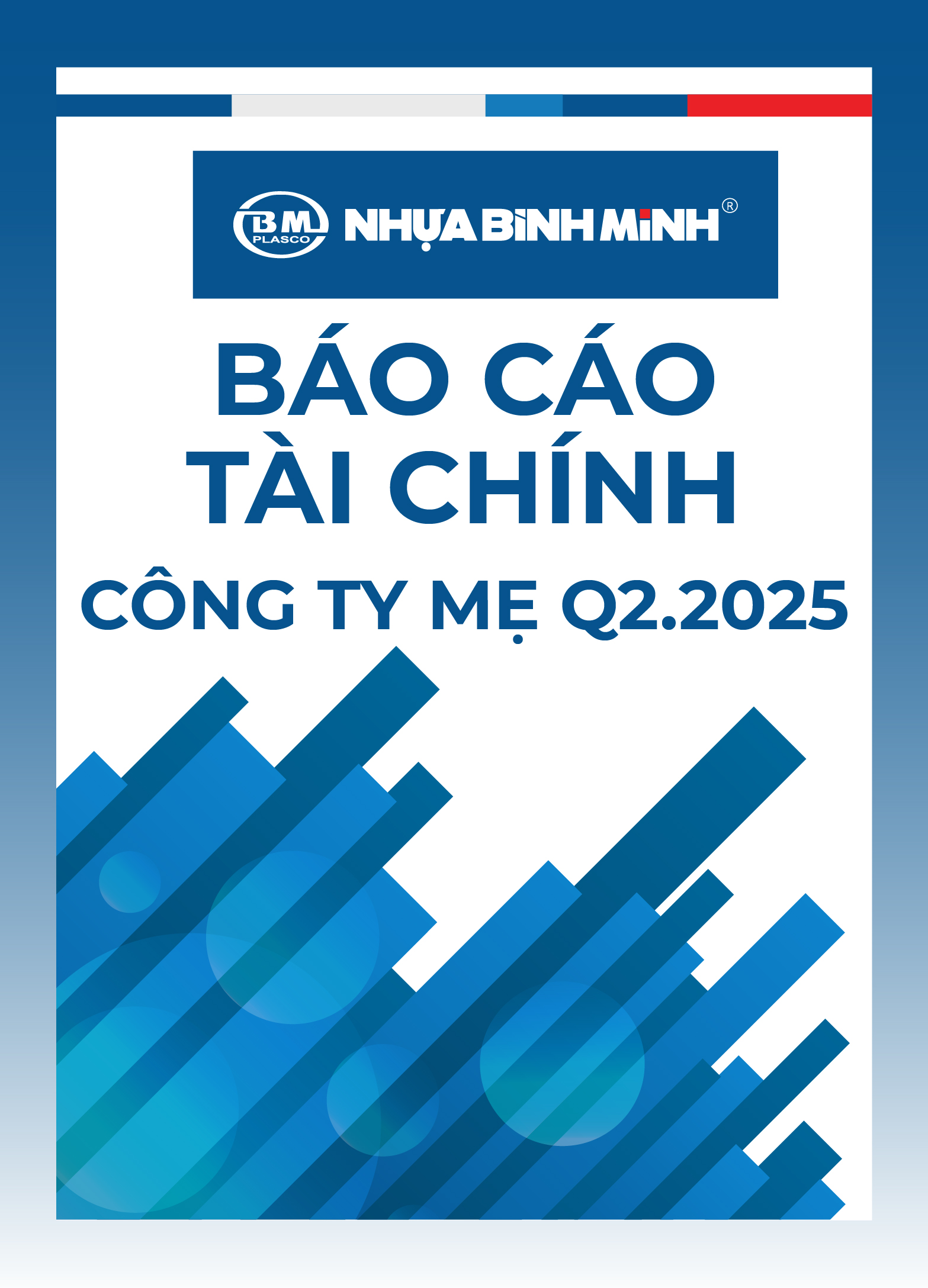 Separate Financial Statement of Q2.2025