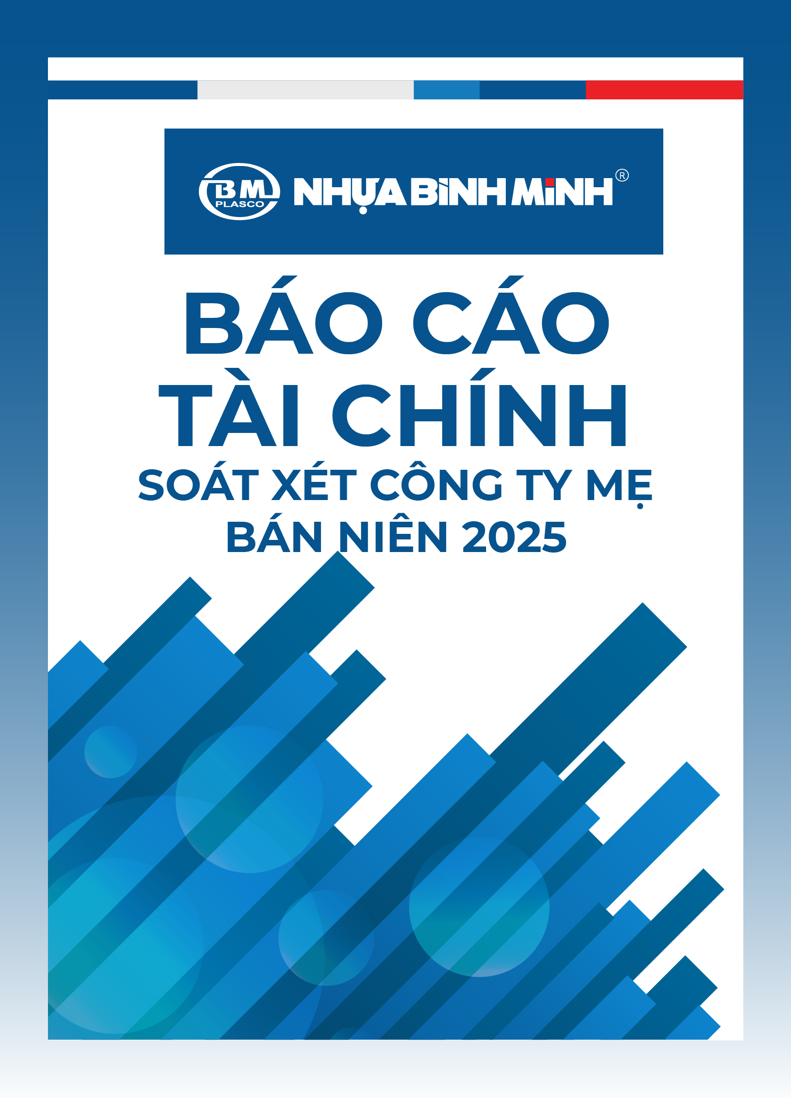 Reviewed Separate Interim Financial Statements – H1 2025