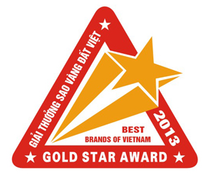 Sao Vàng Đất Việt 2013