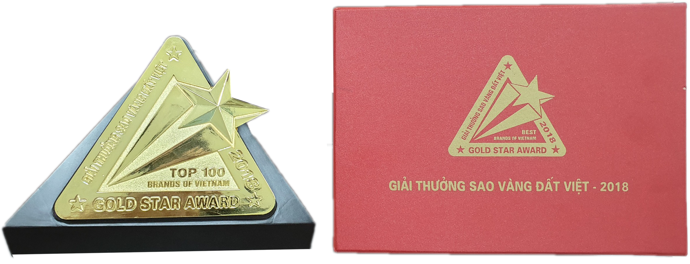 Nhận giải thưởng Sao Vàng Đất Việt năm 2018